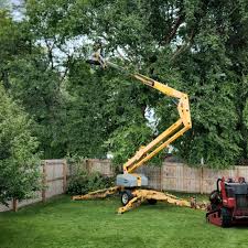 Leaf Removal Services in Moulton, AL